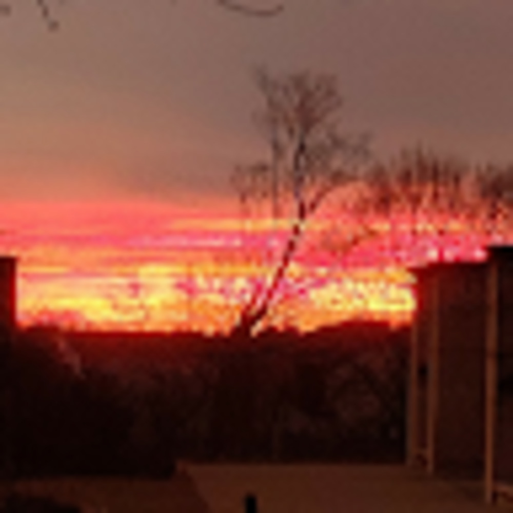 Meet your Posher, Geneva